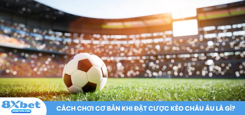 Cách chơi cơ bản khi đặt cược kèo châu âu là gì?